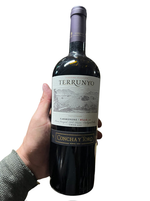 Terrunyo Carmenere 2011