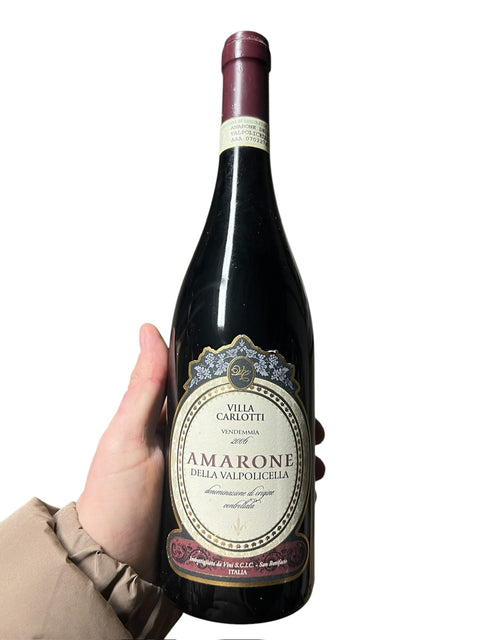 Villa Carlotti Amarone della Valpolicella 2006