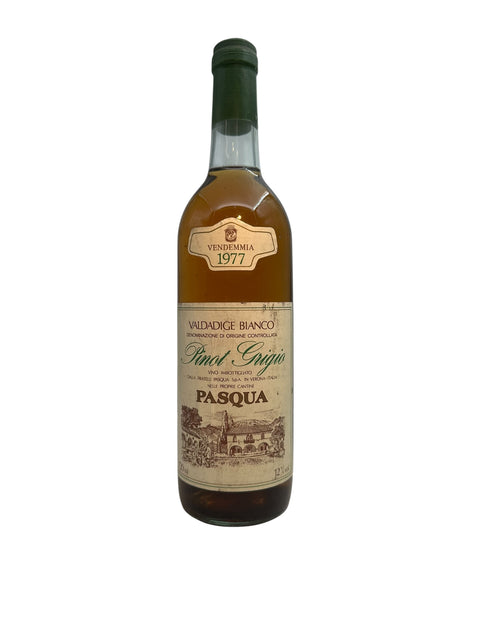 Flaske af Pinot Grigio Pasqua 1977 hvidvin